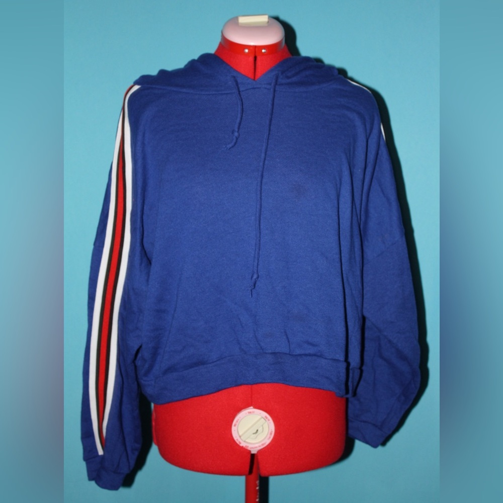 Charolette Russe Cropped Hoodie